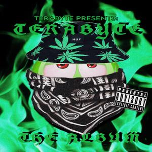 TERABYTE (instrumental)