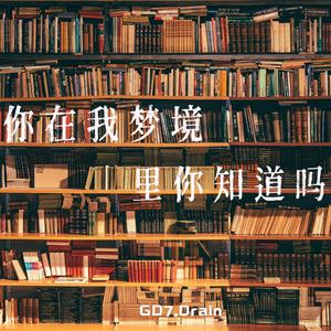 你在我梦境里你知道吗