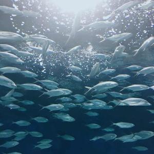 Is it me or everyone else ?