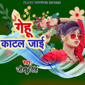 Gehu Katal Jaai