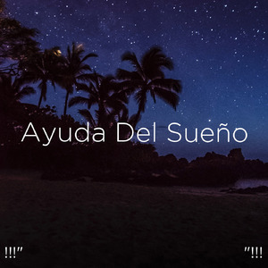 Klang des Ozeans zum Studieren