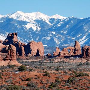 我的眼泪是你的战利品