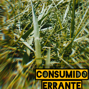 Consumido