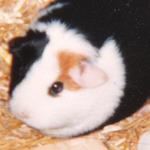 Ik ben zo opgewonden heet