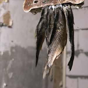 Хата у ильи