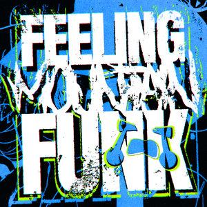 FEELING MOUNTAIN FUNK