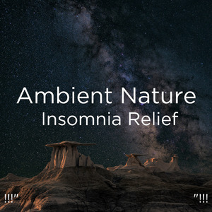 수면을위한 바다의 소리