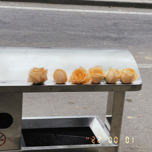 mystery of love 长笛版