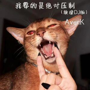 我要的是绝对压制（旋律DJ版）