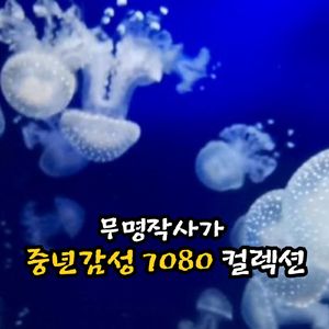 등대가 굴복하는 것을 보았는가