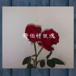 舒伯特玫瑰（翻自 蓝心羽）