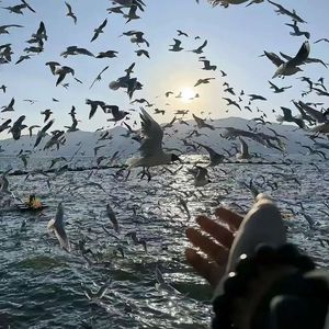 寂寞寂寞不好（Live）