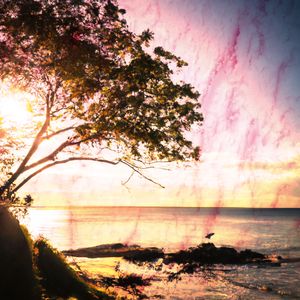 Aroma of Lavender and Incense