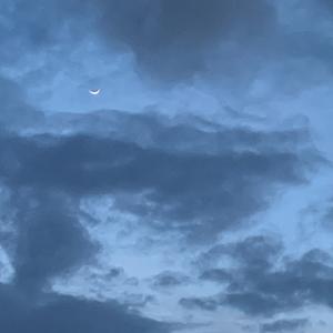 不如不见面-20250117-200741