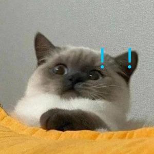 阿斯巴田ASPT-01月08日11时49分39秒格式转换