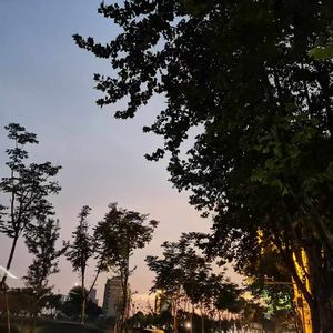 骗（Prod Undislove）