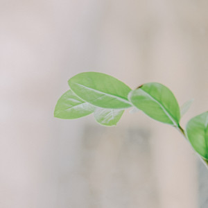 명상음악의 치유책