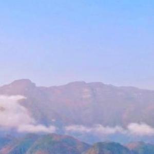 玫瑰奉献给爱情