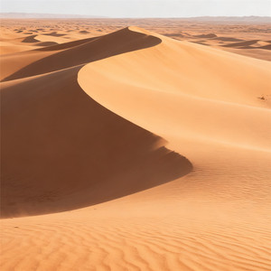 回忆是条永无止境的路