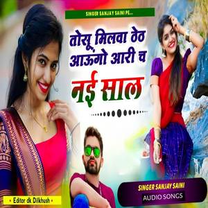 तोसू मिलवा ठेठ आऊंगो आरी नई साल