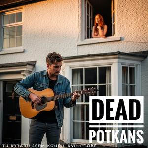 Tu kytaru jsem koupil kvůli tobě