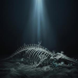 Whalefall