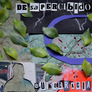 Desapercibido