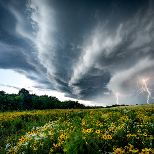 THROUGHOUT THE WEATHER </3