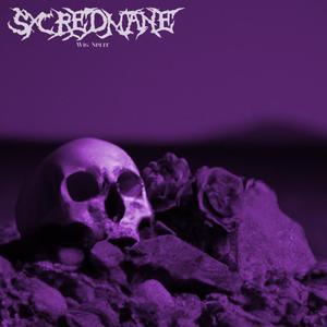 WIG SPLIT (Slowed + Reverb)