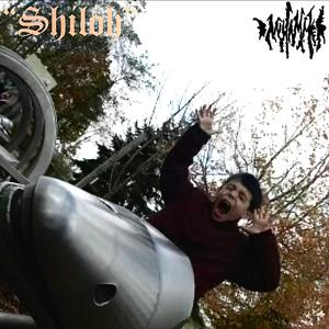 Bring To Me The Moon, Son