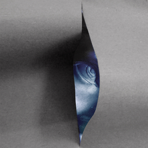 In Between Birds And Wine