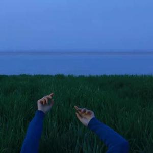 所有的 不甘（翻自 阿冗）