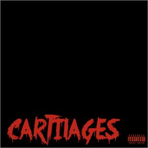 CARTILAGES