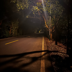 违背（Prod EVOMUSIC)