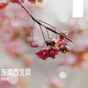 一笑一江湖 伴奏