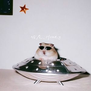 哈尼,Honey