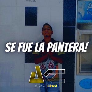 Se Fue La Pantera
