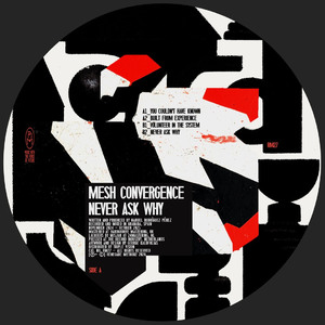 Premiere: Mesh Convergence — Never Ask Why [RM27]