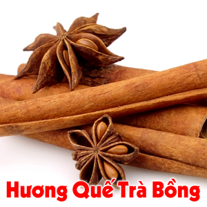 Hương quế Trà Bồng
