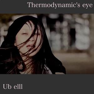 Thermodynamics Is the Wild-eye