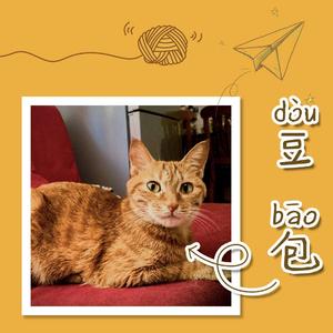 坏坏运气（demo）