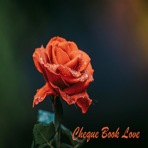 Cheque Book Love