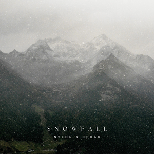 Snowfall