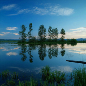 アーナイブ・ニッケルハルパ