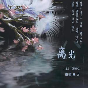 离光