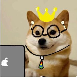 朱明瑛-紫水调（风止云停雾散 remix）