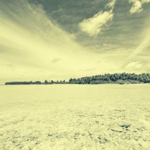 微妙的的牙买加心情