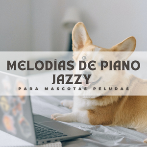 Melodías Para El Tiempo Del Vientre