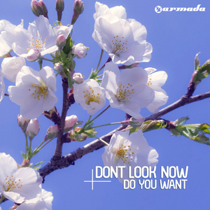 Do You Want (Original Mix)