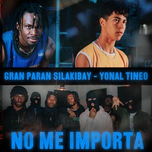 No me importa (feat. Yonal Tineo)